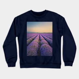 blooming lavender field Crewneck Sweatshirt